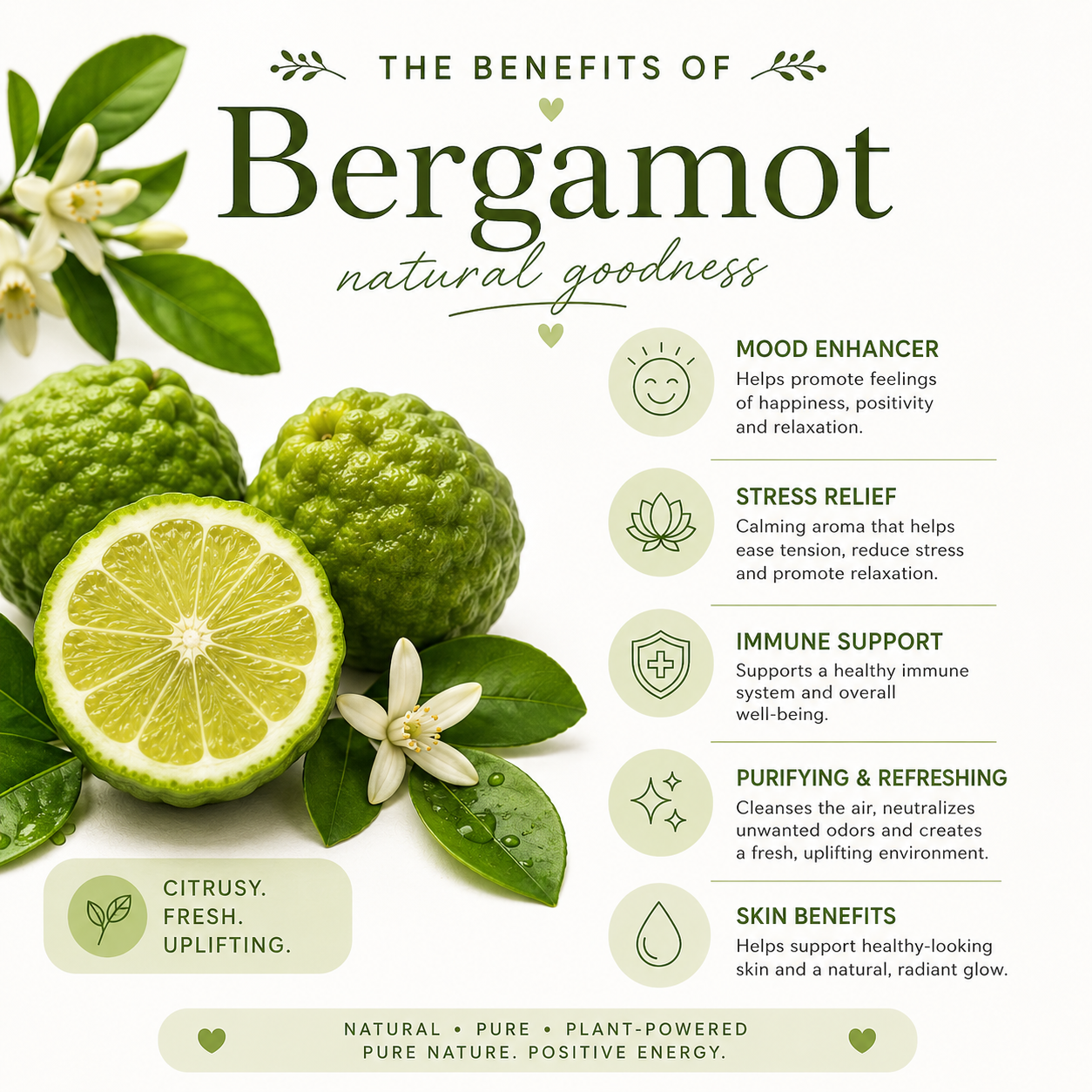 Bergamot Essential Oil 4 OZ
