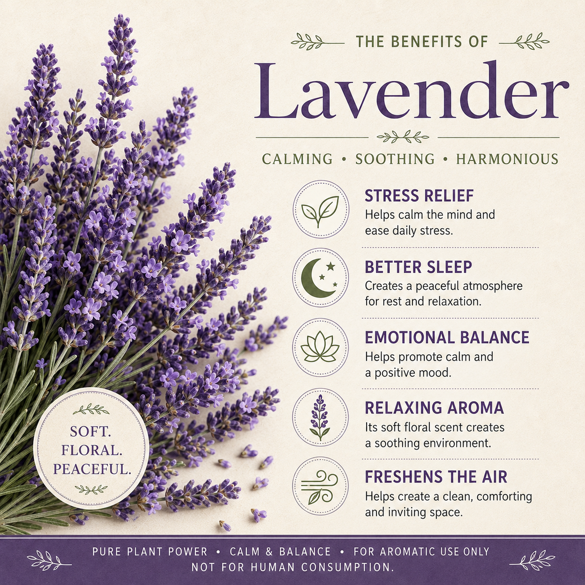 Lavender Essential Oil