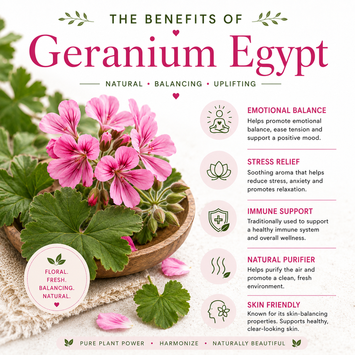 Geranium Egypt Essential Oil
