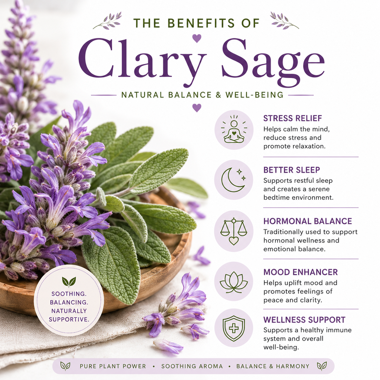 Clary Sage Essential Oil