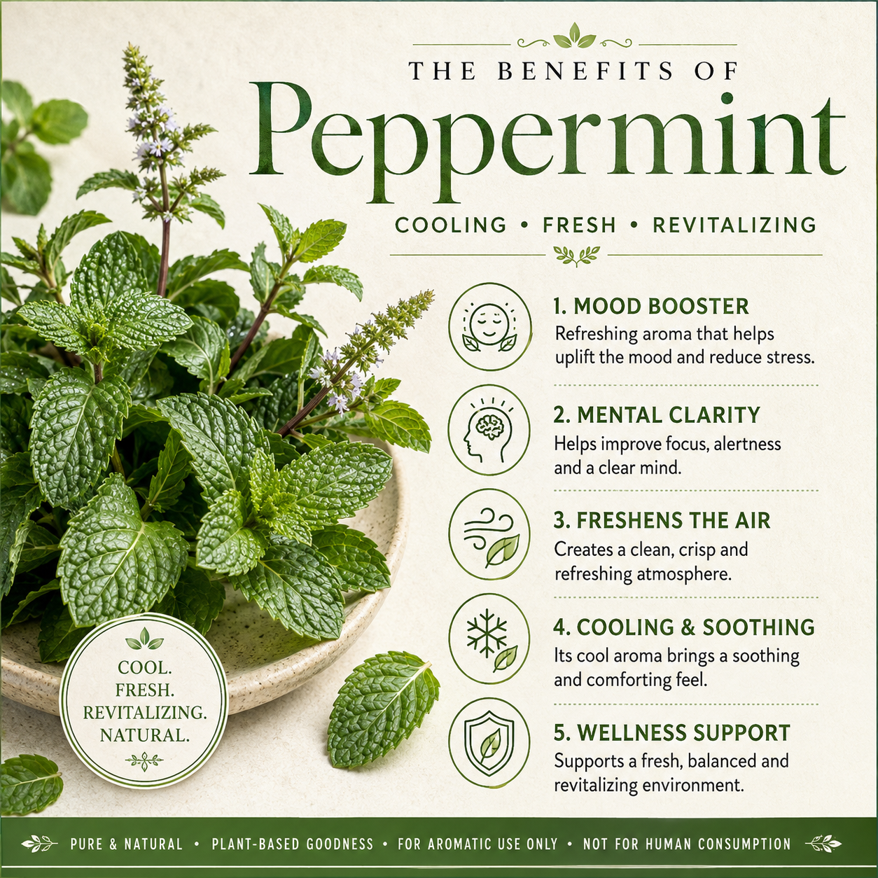 Peppermint Essential Oil