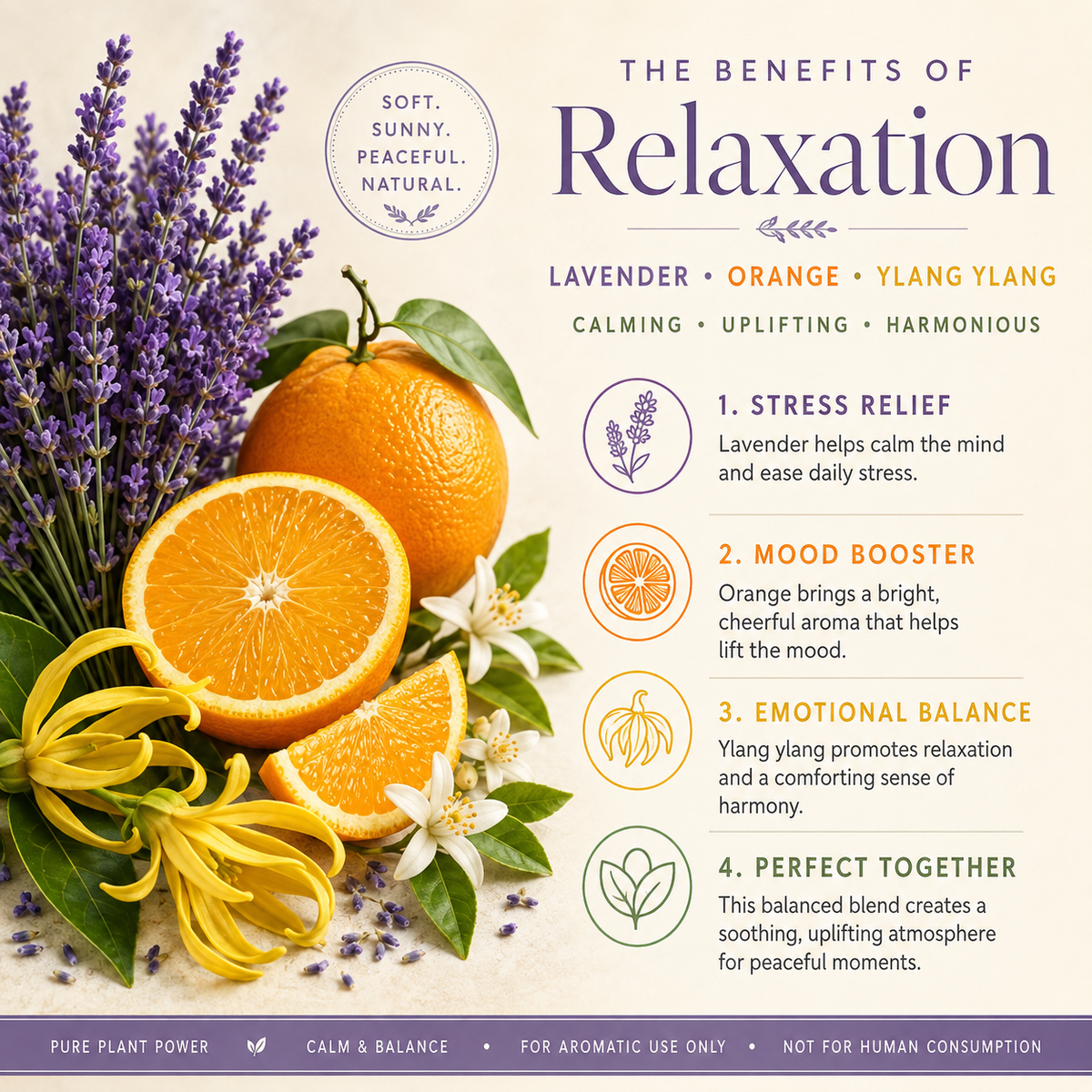 Relaxation Essential Oil