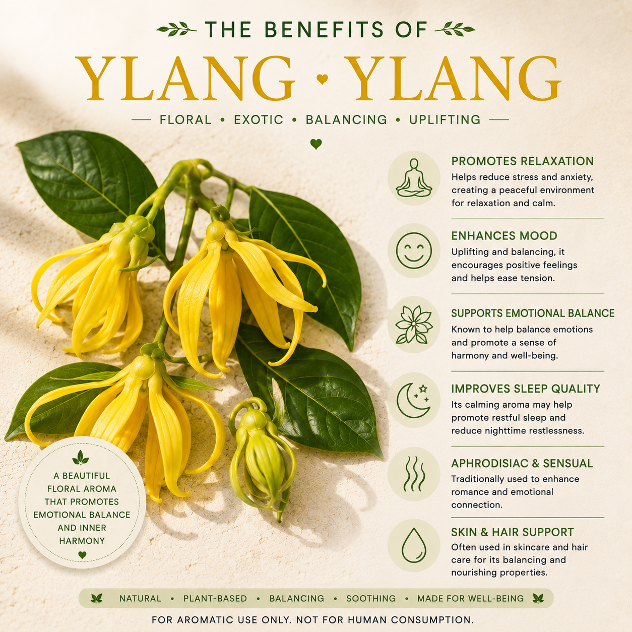 Ylang Ylang Essential Oil