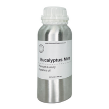 Load image into Gallery viewer, Eucalyptus &amp; Mint HVAC Scent