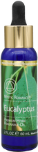 Load image into Gallery viewer, Eucalyptus Premium Fragrance Oil
