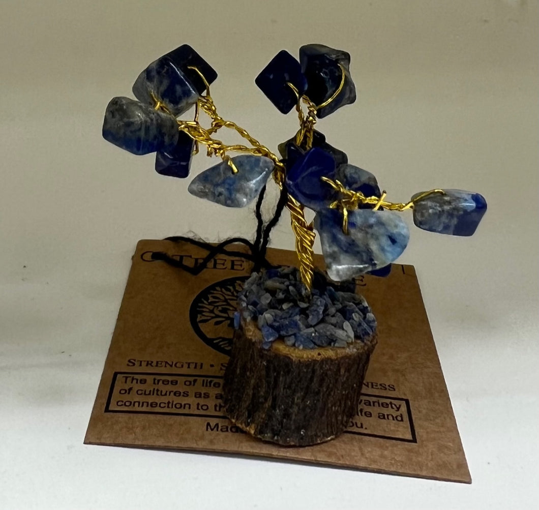 69022 Mini Bonsai on wooden try